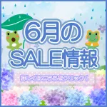 6月セールのご案内